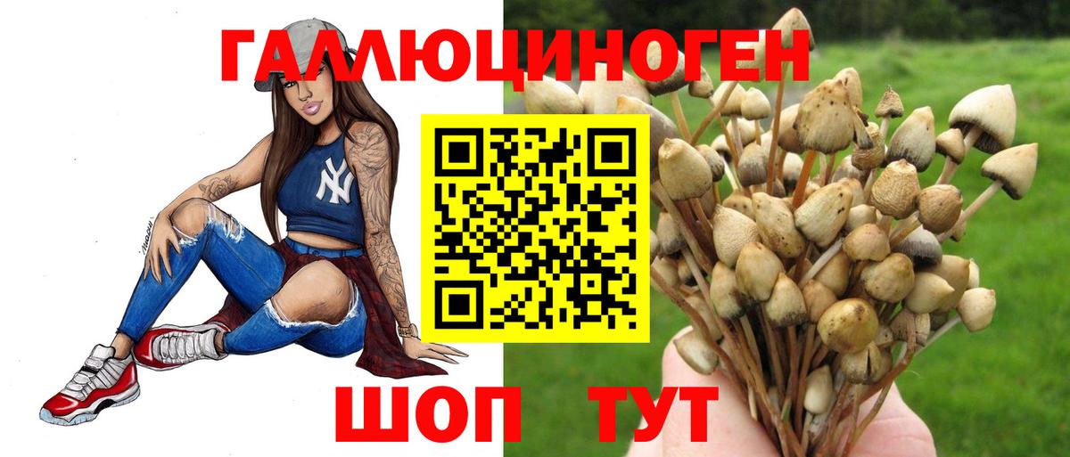 Галлюциногенные грибы мицелий Будённовск