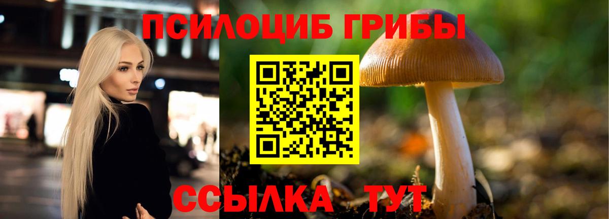 Галлюциногенные грибы прущие грибы  Вход с VPN  Будённовск  Галлюциногенные грибы Psilocybine cubensis 